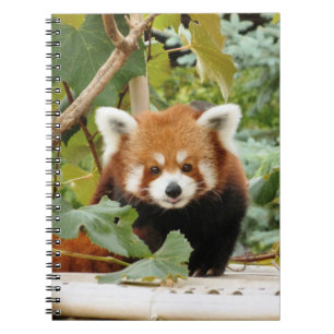 Red Panda Notitieboek