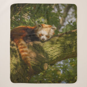 RED PANDA ON GREEN TREE BRANCH SHERPA DEKEN