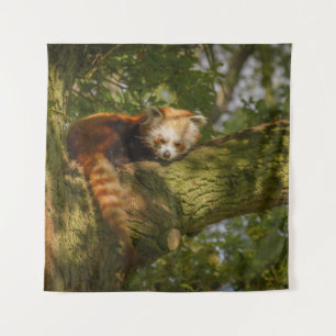 RED PANDA ON GREEN TREE BRANCH WANDKLEED