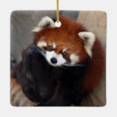 Red Panda Ornament (Achterkant)