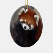 Red Panda Ornament (Rechts)