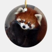 Red Panda Ornament (Achterkant)