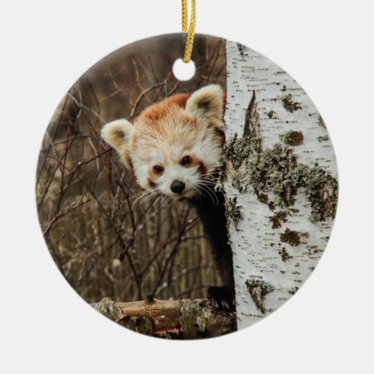 Red Panda Ornament (Voorkant)