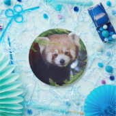 Red Panda Papieren Bordje (Feest)