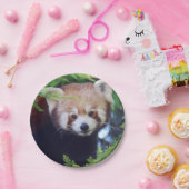 Red Panda Papieren Bordje (Feest)