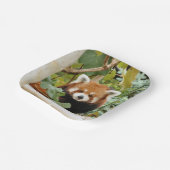 Red Panda Papieren Bordje (Gebogen)