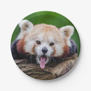 Red Panda Papieren Bordje