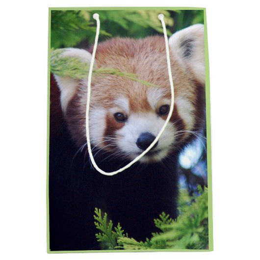 Red Panda Pattern Medium Cadeauzakje (Voorkant)