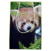 Red Panda Pattern Medium Cadeauzakje (Achterkant)