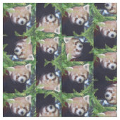 Red Panda Pattern Stof (Close Up)