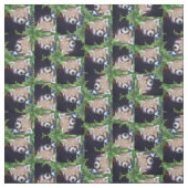 Red Panda Pattern Stof (Swatch)