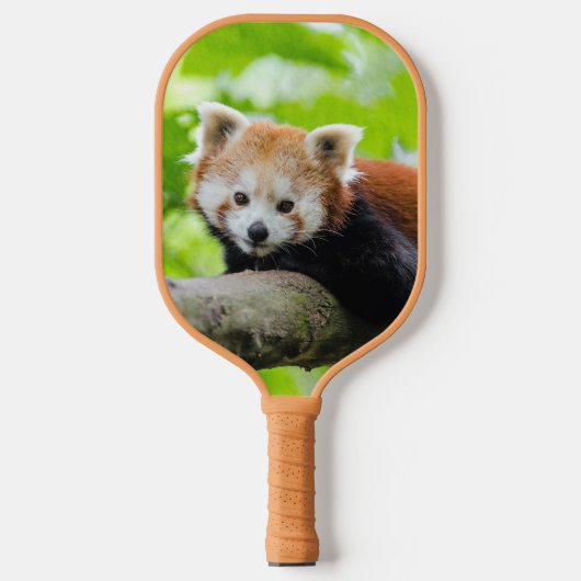 Red Panda Pickleball Paddle (Voorkant)