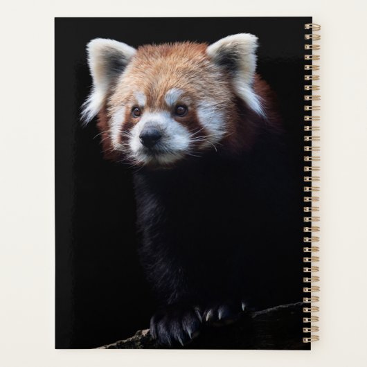 Red Panda Planner (Achterkant)