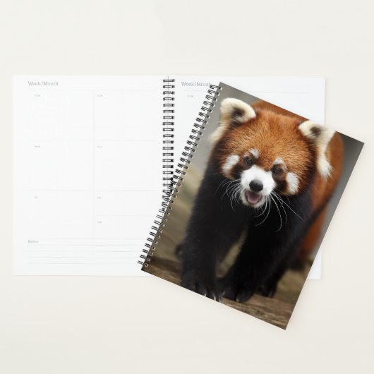 Red Panda Planner (Display)