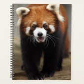 Red Panda Planner (Voorkant)