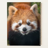 Red Panda Planner (Achterkant)