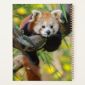 Red Panda Planner (Achterkant)