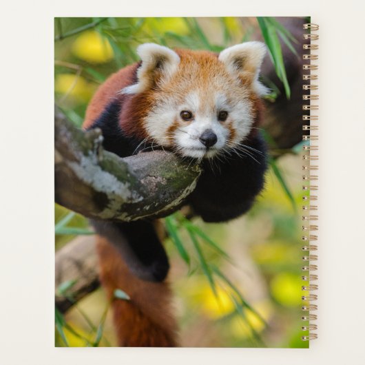 Red Panda Planner (Achterkant)