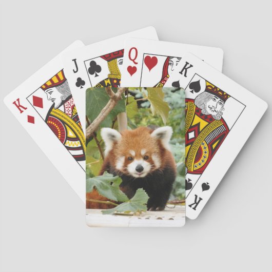 Red Panda Pokerkaarten (Achterkant)