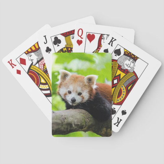 Red Panda Pokerkaarten (Achterkant)
