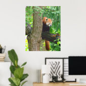 Red Panda Poster (Thuiskantoor)