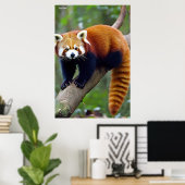 Red Panda Poster (Thuiskantoor)