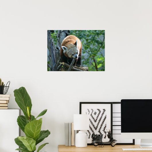 Red Panda Poster (Thuiskantoor)