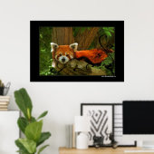 Red Panda Poster Print (Thuiskantoor)