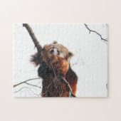 Red Panda Puzzle/Jigzaag Legpuzzel (Horizontaal)