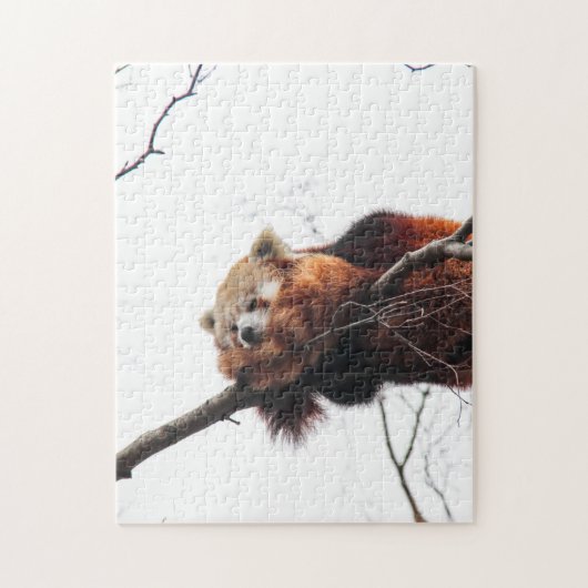 Red Panda Puzzle/Jigzaag Legpuzzel (Verticaal)