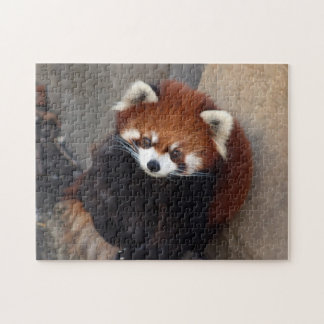 Red Panda Puzzle Legpuzzel