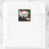 Red Panda Santa Vierkante Sticker (Tas)