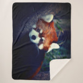 Red Panda Sherpa Deken (Voorkant)