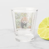 Red Panda Shot Glas (Achterkant)