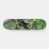 Red Panda Skateboard (Horizontaal)