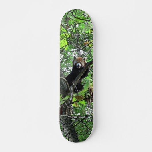 Red Panda Skateboard (Voorkant)