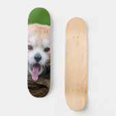 Red Panda Skateboard (Voorkant)
