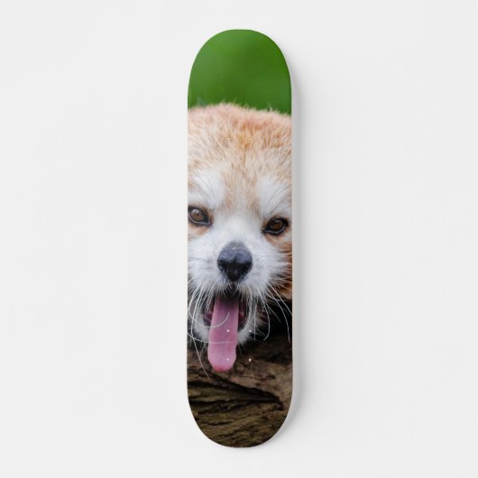 Red Panda Skateboard (Voorkant)