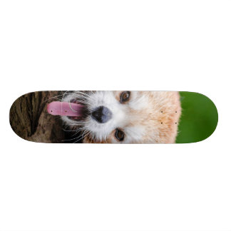 Red Panda Skateboard