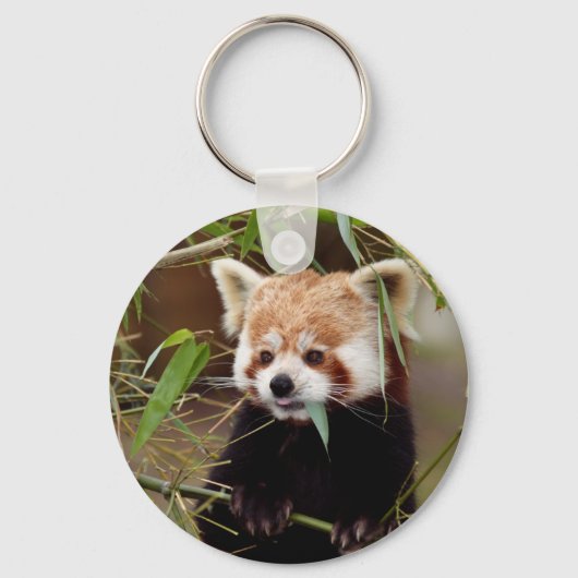 Red Panda Sleutelhanger (Voorkant)