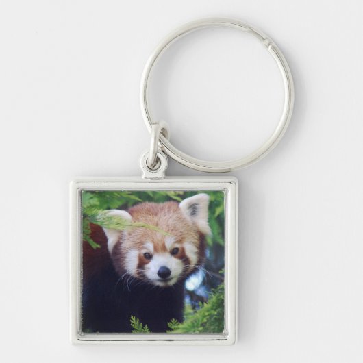 Red Panda Sleutelhanger (Voorkant)