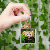 Red Panda Sleutelhanger (Hand)