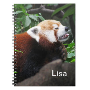 Red Panda steekt zijn tong uit Notitieboek
