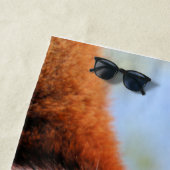 Red Panda Strandlaken (In situ)