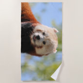 Red Panda Strandlaken (Voorkant)