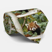 Red Panda Stropdas (Opgerold)