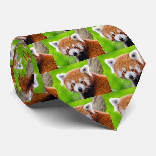 Red Panda Stropdas (Opgerold)