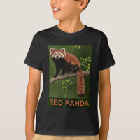 Red Panda