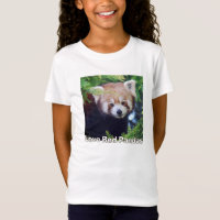 Red Panda