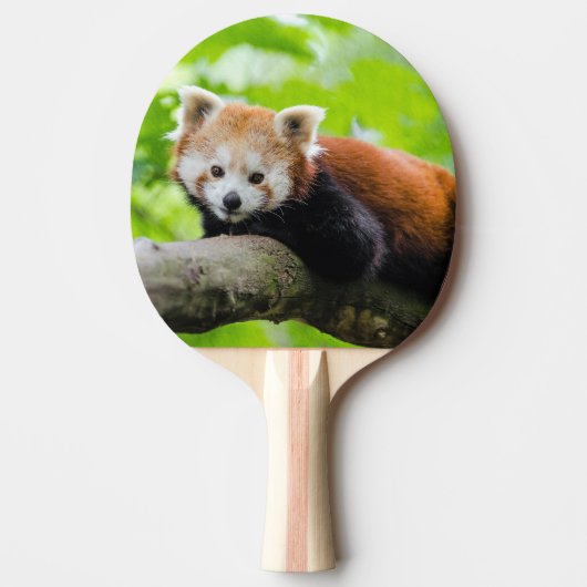 Red Panda Tafeltennisbatje (Voorkant)